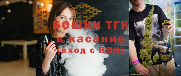 стафф Алексин