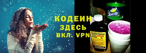 PSILOCYBIN Алзамай