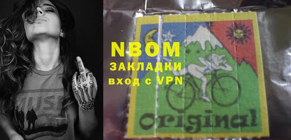 PSILOCYBIN Алзамай