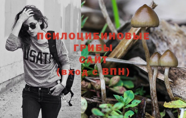 PSILOCYBIN Алзамай