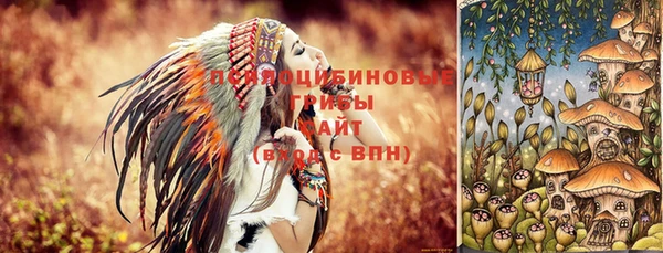 PSILOCYBIN Алзамай