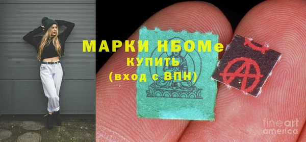 PSILOCYBIN Алзамай
