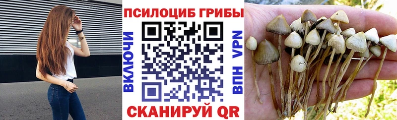 Псилоцибиновые грибы MAGIC MUSHROOMS  Ардон 
